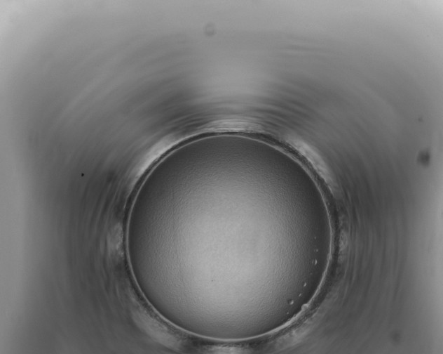 X0000090781465200707271538