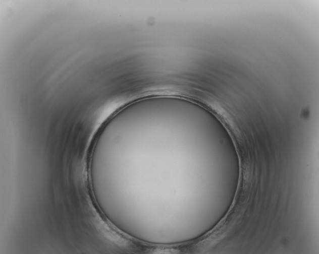 X0000090781466200707271538