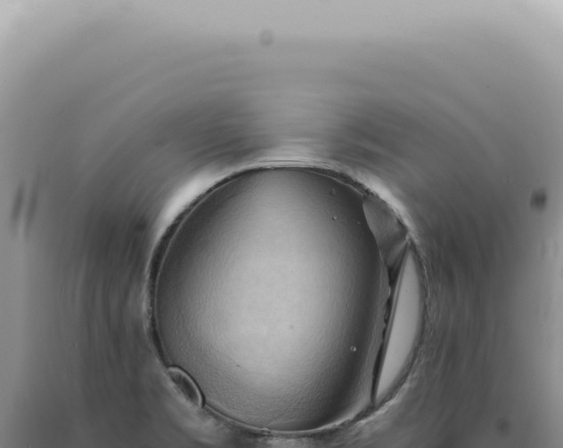 X0000090781469200707271538