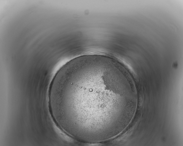 X0000090781471200707271538