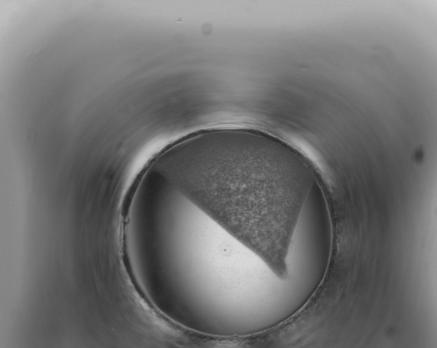 X0000090781472200707271538