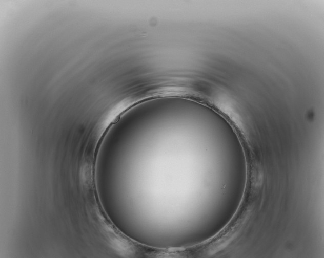 X0000090781473200707271538