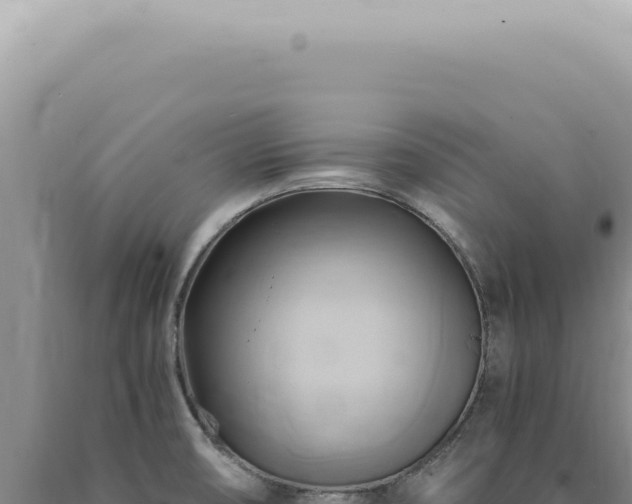 X0000090781474200707271538