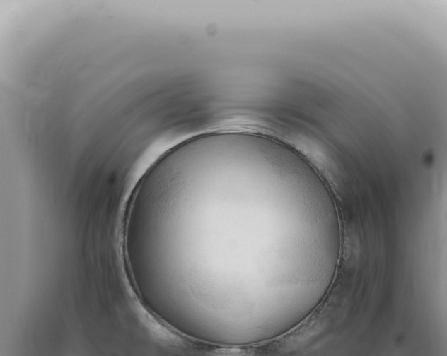 X0000090781478200707271538