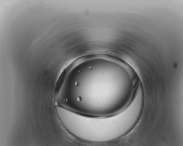 X0000090781481200707271538