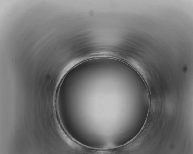 X0000090781482200707271538
