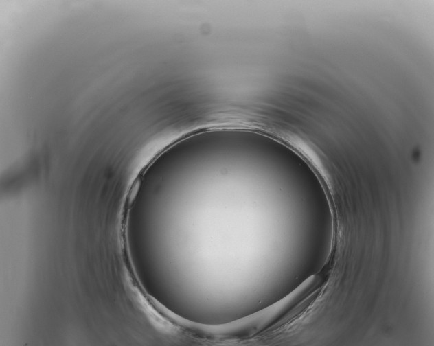X0000090781485200707271538