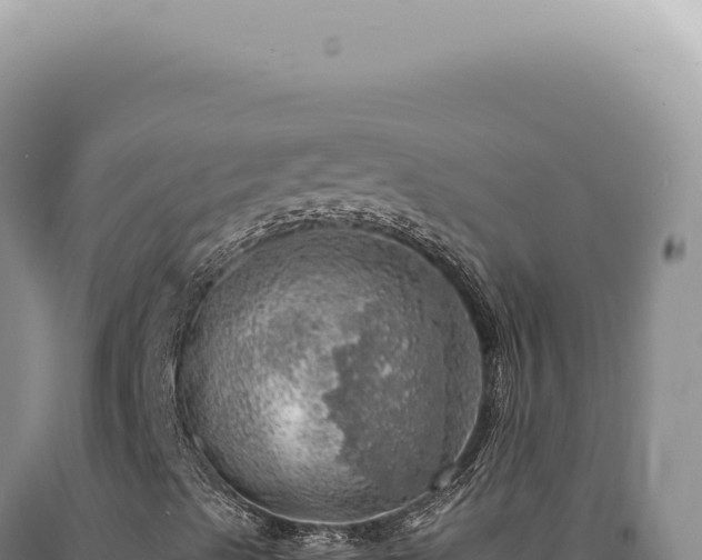 X0000090781489200707271537