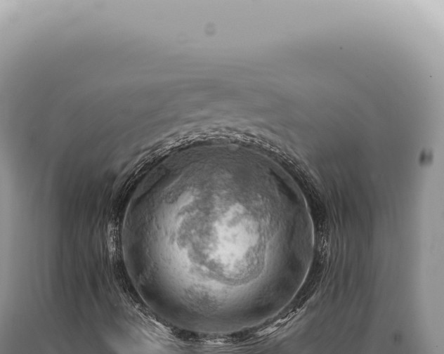 X0000090781490200707271537