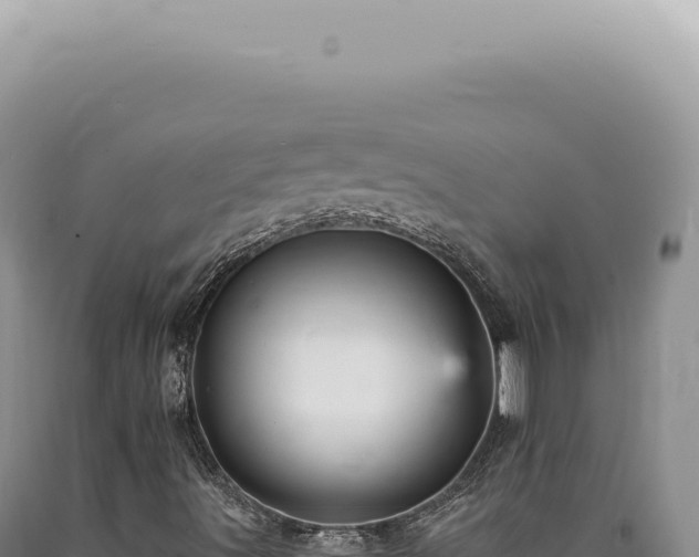 X0000090781491200707271537