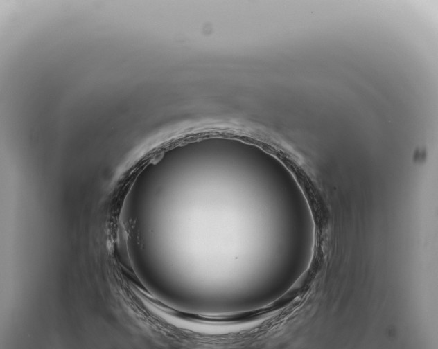 X0000090781496200707271537