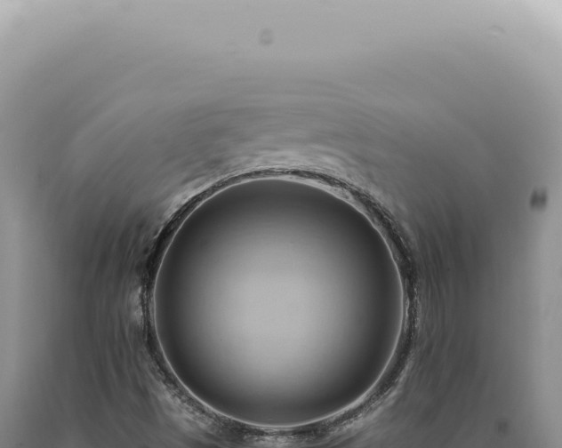 X0000090781497200707271537