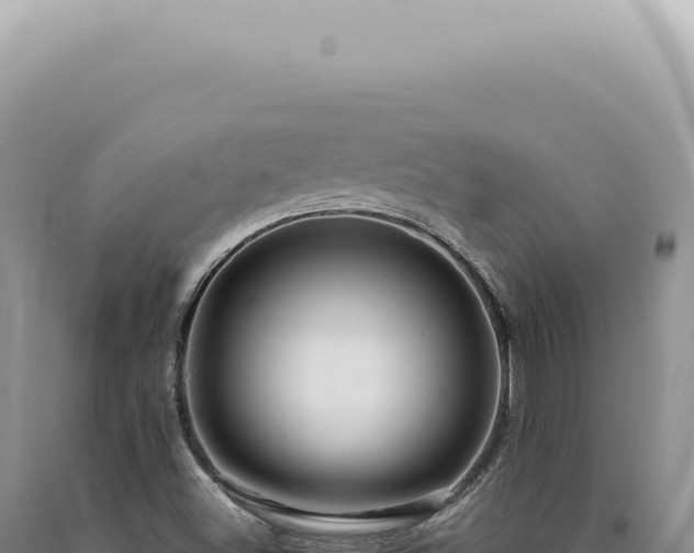 X0000090781500200707271537