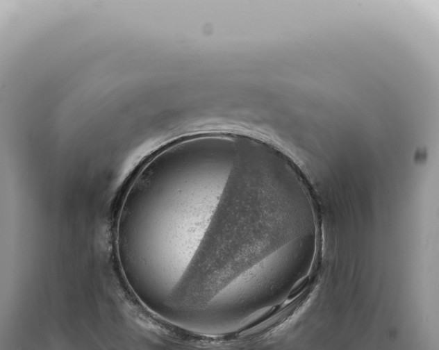 X0000090781501200707271537