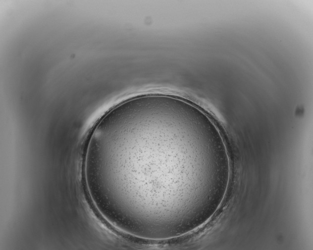 X0000090781504200707271537