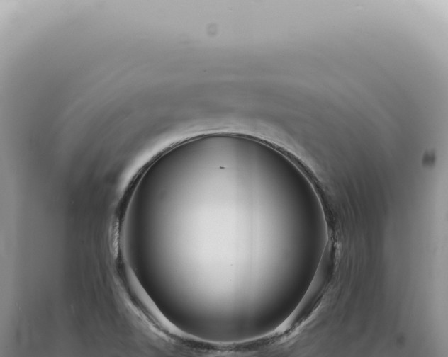 X0000090781510200707271537