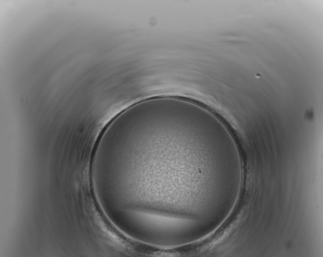 X0000090781513200707271537