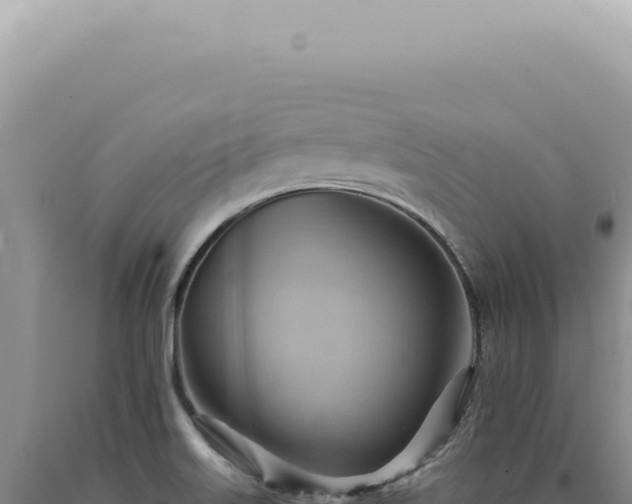 X0000090781515200707271538