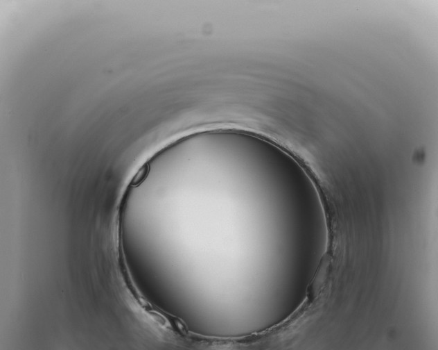 X0000090781516200707271538