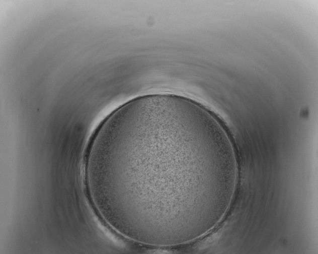 X0000090781517200707271538
