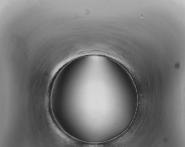 X0000090781518200707271538