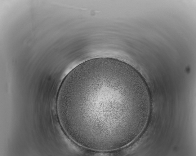 X0000090781521200707271538