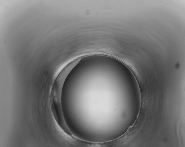 X0000090781524200707271538