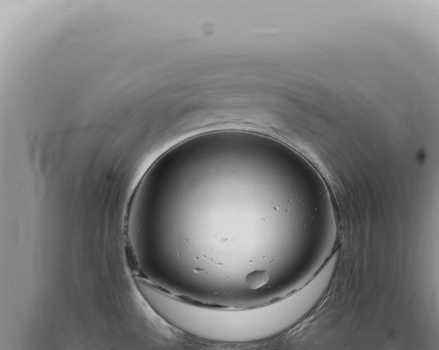 X0000090781532200707271538