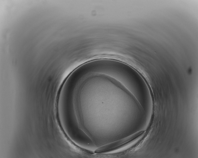 X0000090781533200707271538
