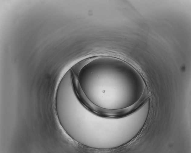 X0000090781536200707271538