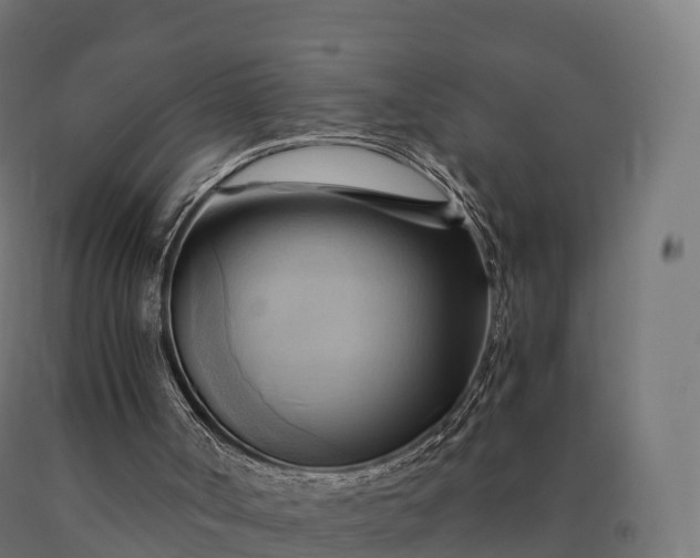 X0000090780002200708031725