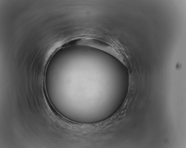 X0000090780003200708031725