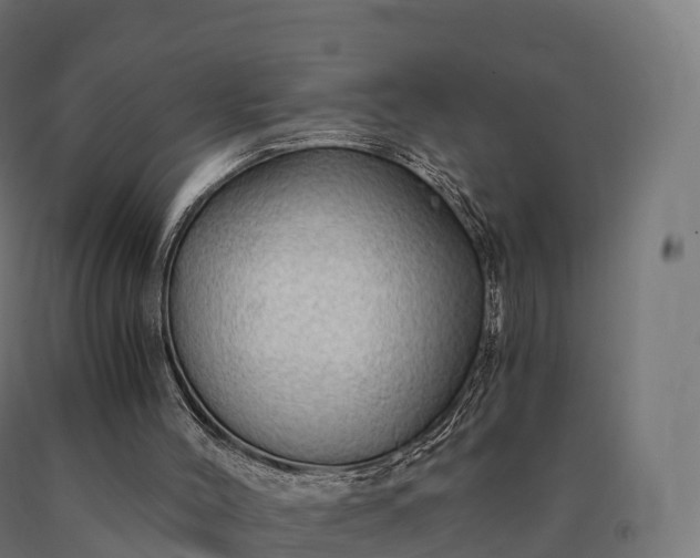 X0000090780004200708031725