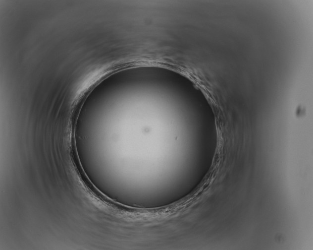 X0000090780005200708031725