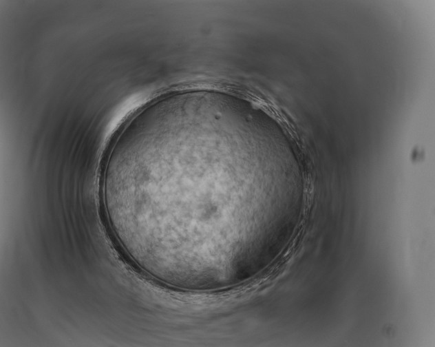 X0000090780006200708031725