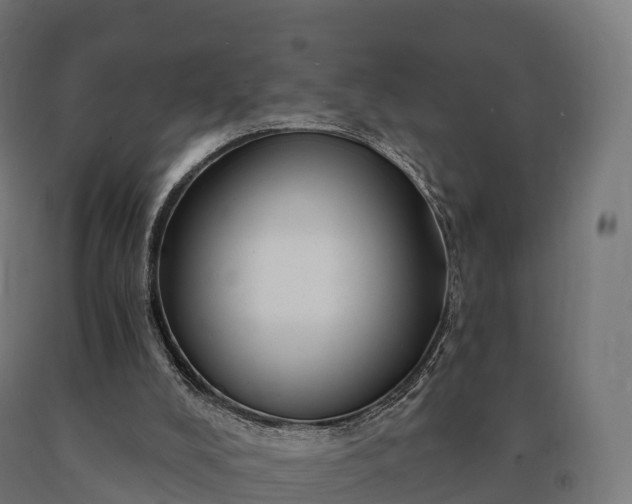 X0000090780008200708031725