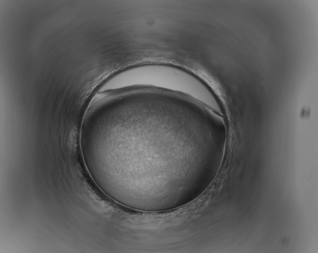 X0000090780009200708031725