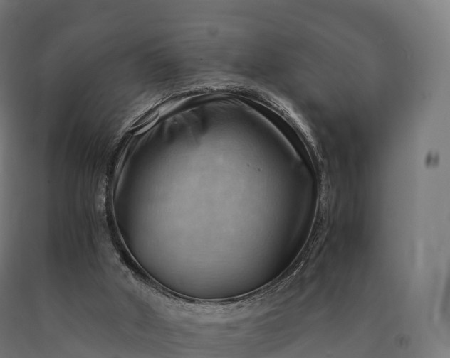 X0000090780010200708031725