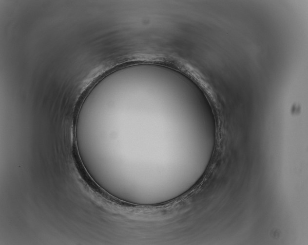 X0000090780011200708031725