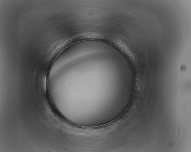 X0000090780014200708031725