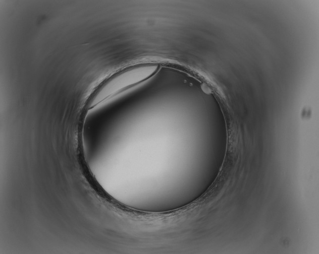 X0000090780015200708031725