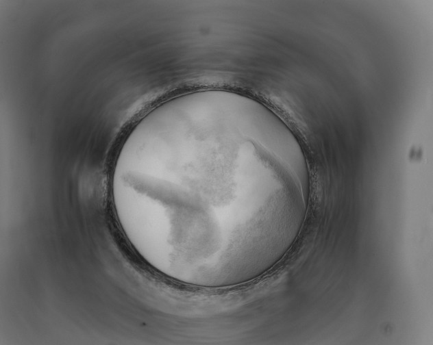 X0000090780016200708031725
