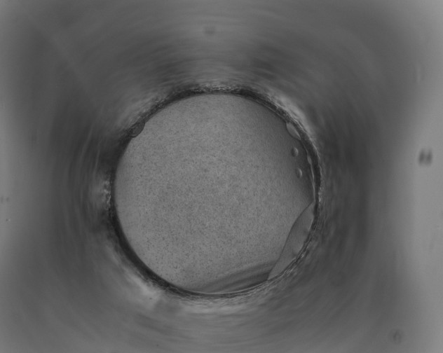X0000090780017200708031725