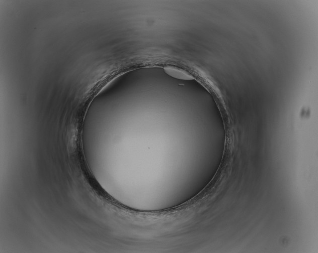 X0000090780018200708031725