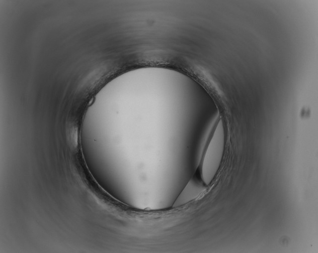 X0000090780021200708031725