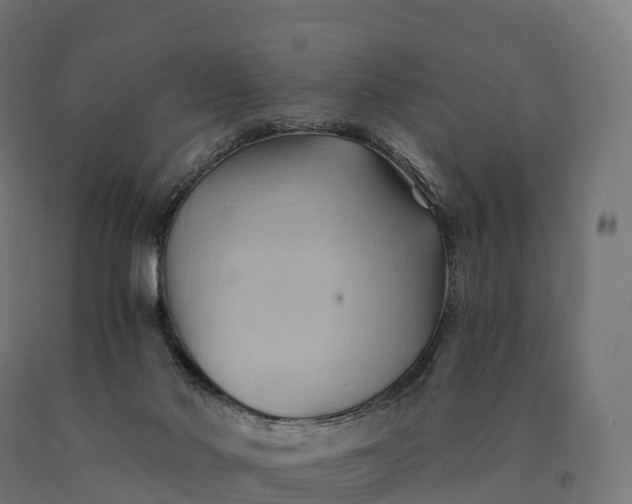 X0000090780022200708031725