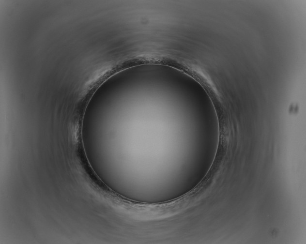X0000090780023200708031725
