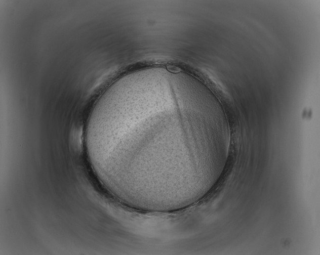 X0000090780024200708031725