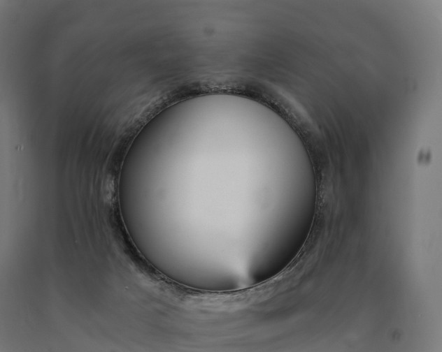 X0000090780025200708031725