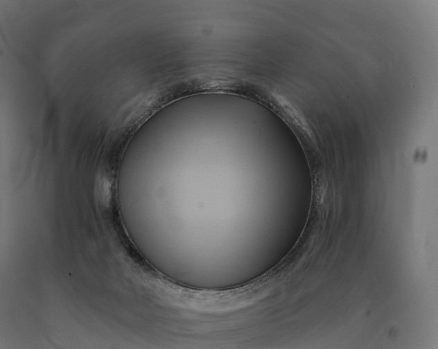 X0000090780026200708031725